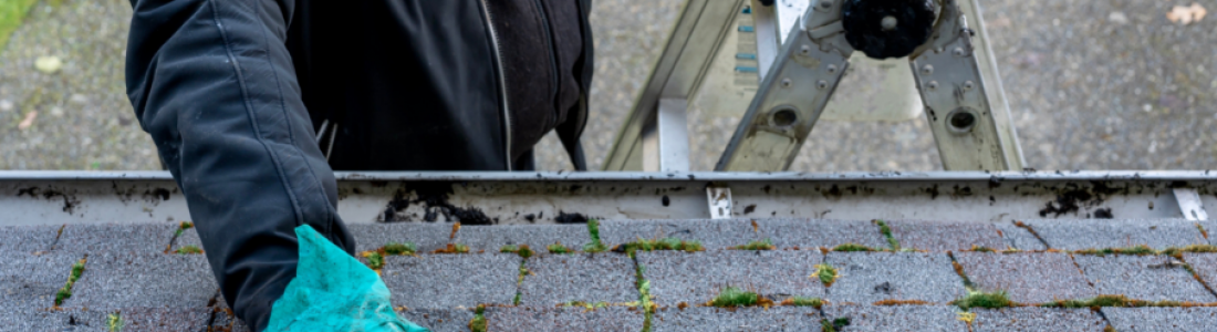 Signs You Need Your Roof Inspected Before Winter