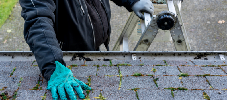 Signs You Need Your Roof Inspected Before Winter