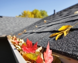 How to Prepare Your Gutters for Fall