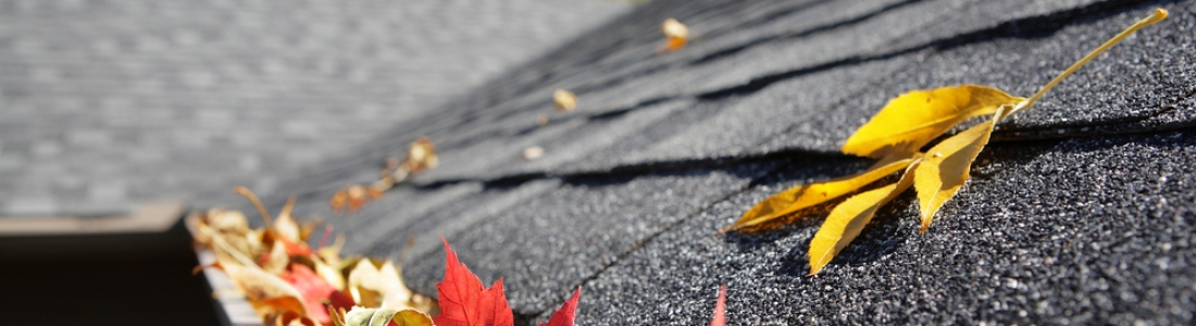 How to Prepare Your Gutters for Fall