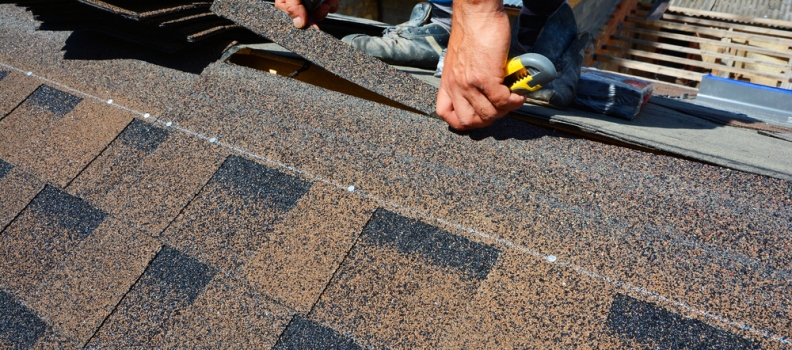 How to choose the right roof for your home?