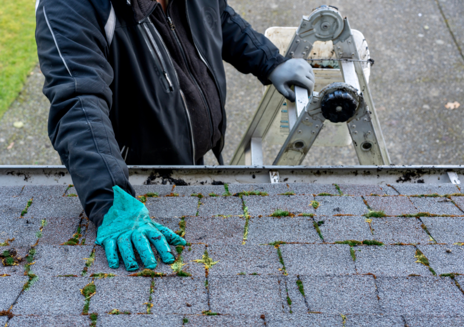 Signs You Need Your Roof Inspected Before Winter