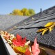 Fallen Leaves in the Gutters During Autumn