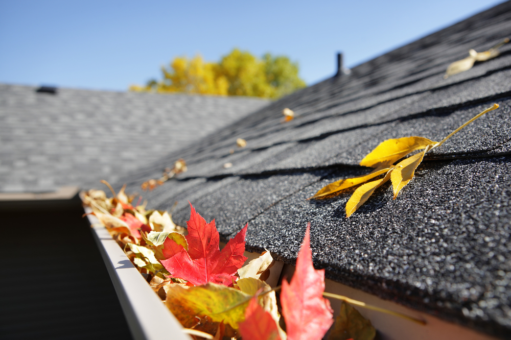 How to Prepare Your Gutters for Fall