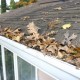 A,Gutter,Filled,With,Dry,Autumn,Leaves,And,Debris,Along